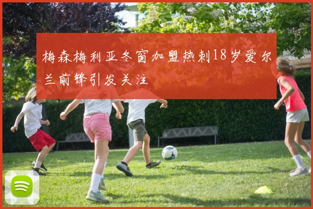 梅森梅利亚冬窗加盟热刺18岁爱尔兰前锋引发关注