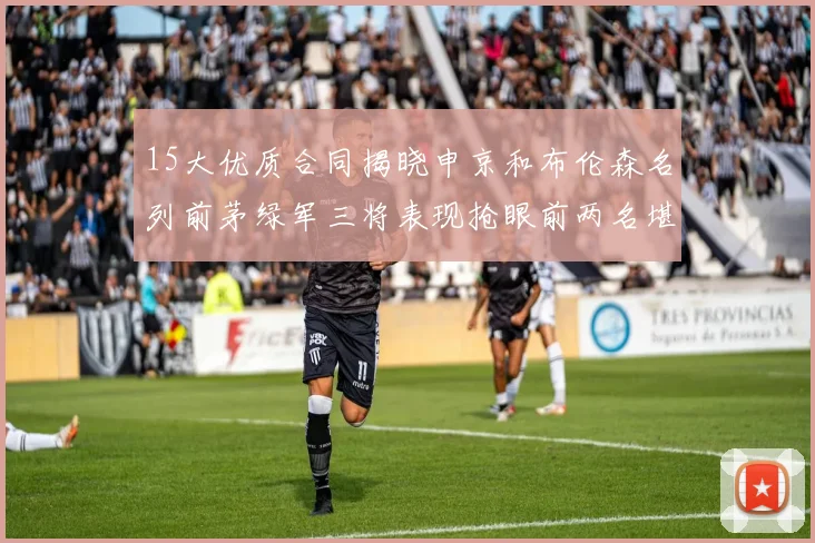 15大优质合同揭晓申京和布伦森名列前茅绿军三将表现抢眼前两名堪称传奇