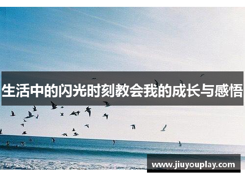 生活中的闪光时刻教会我的成长与感悟