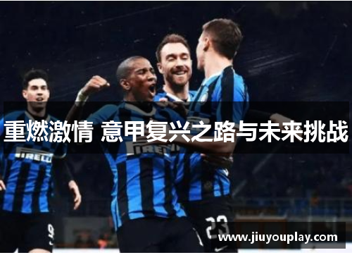 重燃激情 意甲复兴之路与未来挑战