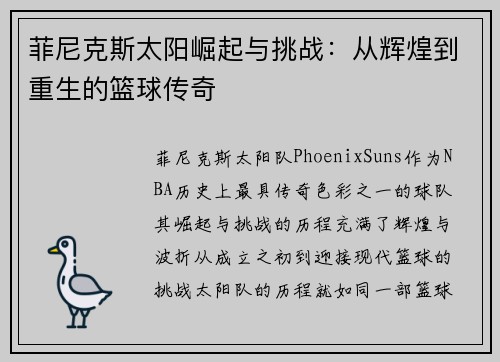 菲尼克斯太阳崛起与挑战：从辉煌到重生的篮球传奇